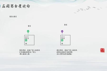 南辰紫薇斗数