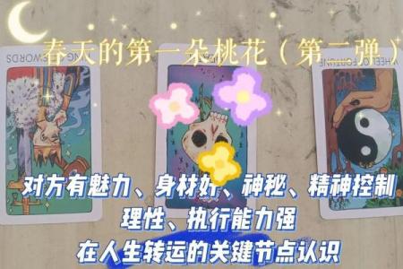 塔罗测试：9月你的桃花会不会来？