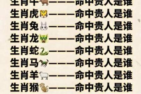 八字对应生肖