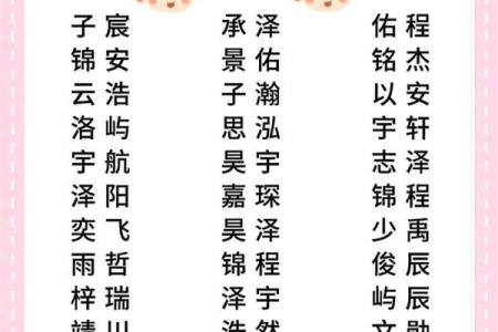 2019年3月27号卯时出生的男孩应该起什么样的名字姓名