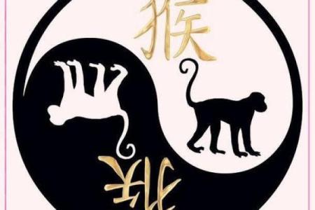 猴年八字