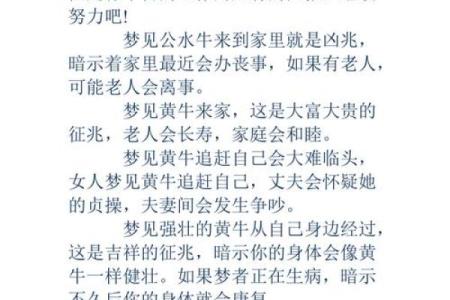 梦见八字