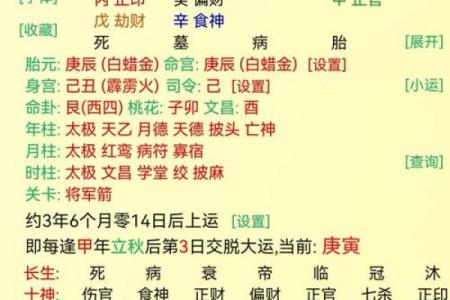 八字喜用神是水走什么大运