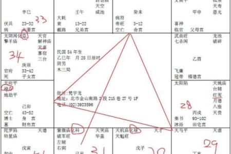 天厨紫薇斗数