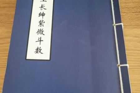 紫薇斗数真传