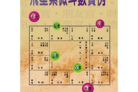 紫薇斗数入内局