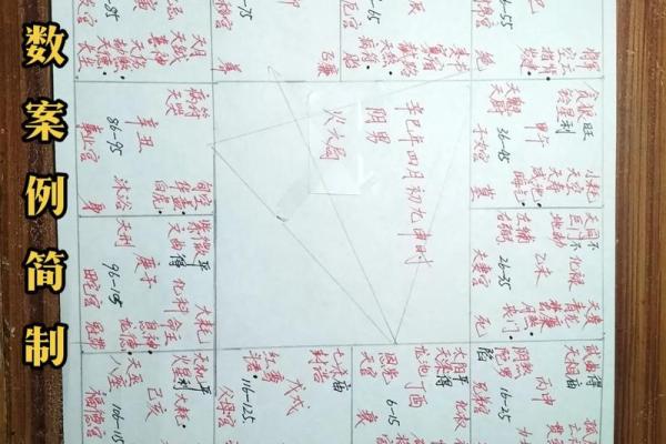紫薇斗数实例解说