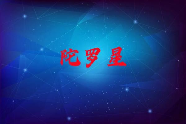 紫薇斗数业力星养坨