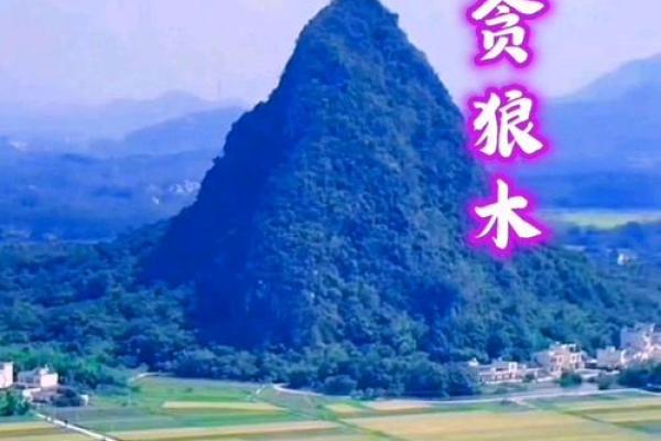 看紫薇斗数贪狼
