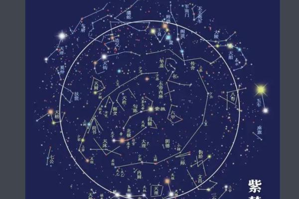 东京紫薇斗数入门