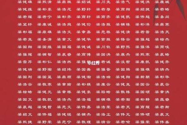 2019年6月13号子时出生的男孩起名方法姓名