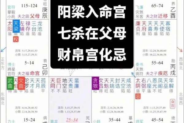 唐艺尹老师谈紫微斗数中的酒色财气命