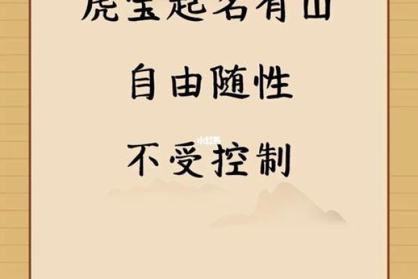 晚上9点出生的属虎男孩如何起名，宜用什么字姓名