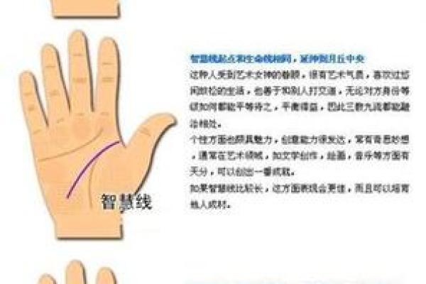 算命手相,免费看手相算命