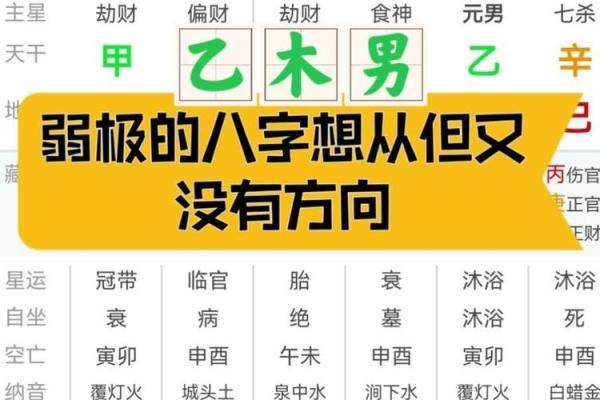 八字极弱能补吗