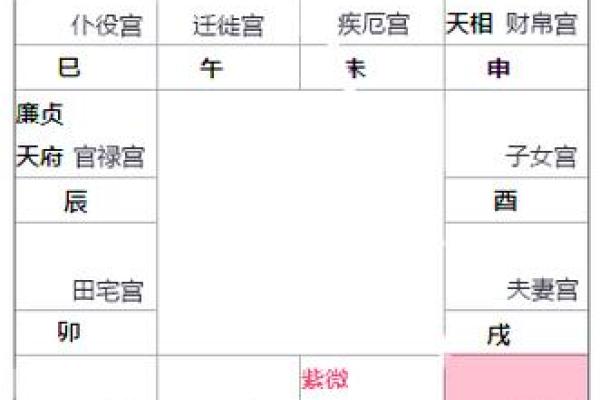 紫薇斗数看男方家境