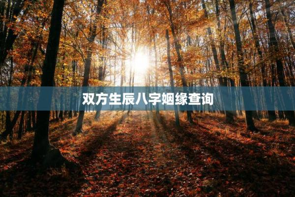 姻缘测试生辰八字