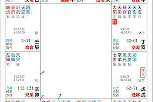紫薇斗数看文采