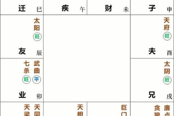 紫薇斗数亥宫