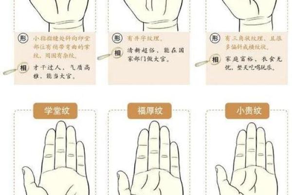 手纹线图解大全男人手相 男人算命看左手还是右手