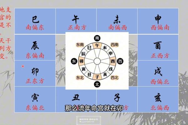 紫薇斗数紫薇分宫论