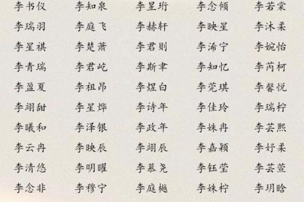 李姓男孩名字大全-李姓男孩起名字大全-李姓名字大全姓名