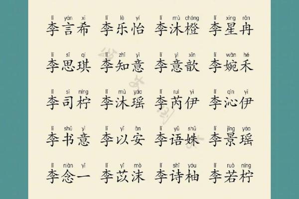 李姓男孩名字大全-李姓男孩起名字大全-李姓名字大全姓名