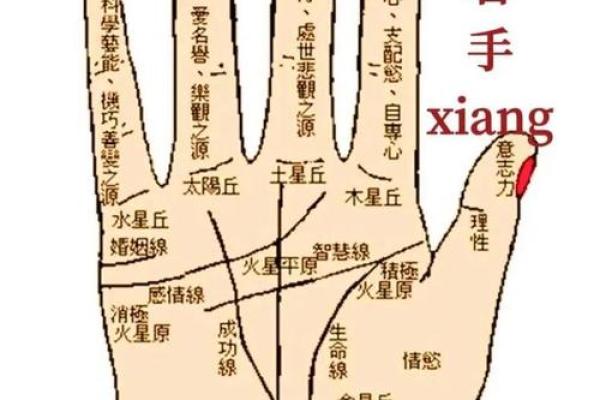 手指算命 手指预测爱情