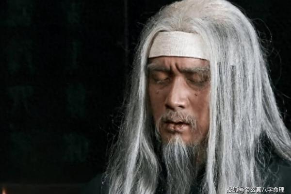 司马懿的八字命理 诸葛亮自批八字
