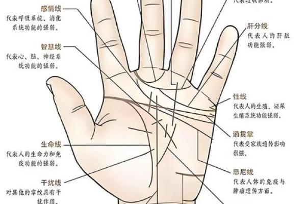 手掌印算命