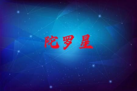 紫薇斗数业力星养坨