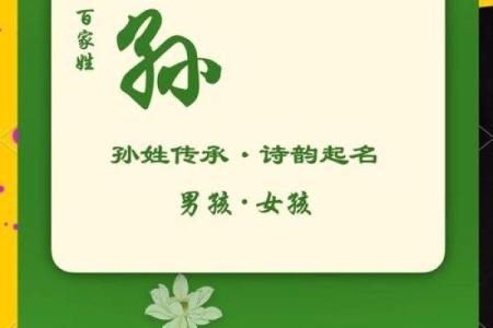 孙姓女孩名字大全-孙姓女孩起名字大全-孙姓名字大全姓名