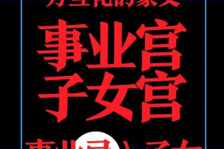 紫薇斗数交禄看结婚