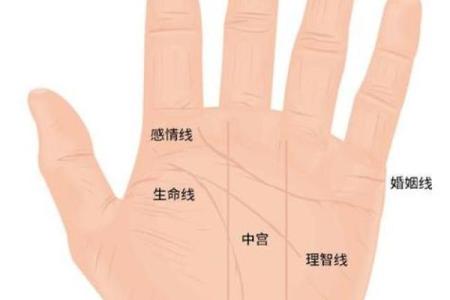 老公喜欢算命怎么办