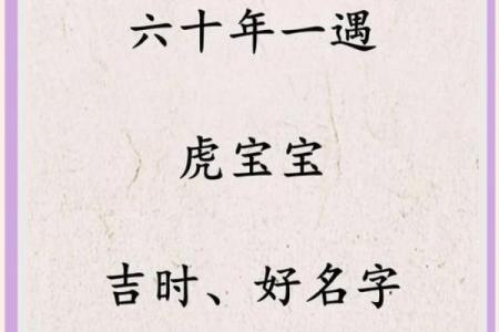 名字测试虎年吉凶打分
