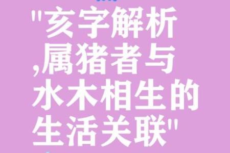 属猪男八字
