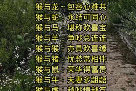 生肖配对姻缘上吉 生肖配对姻缘测试打分？