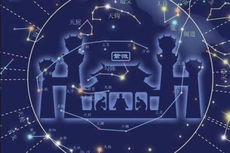 紫微斗数之流星的看法，流年岁前十二神吉凶断：官符