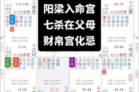 唐艺尹老师谈紫微斗数中的酒色财气命