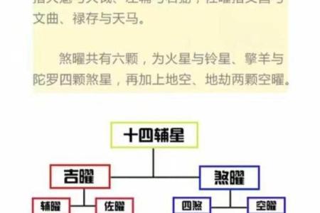 紫薇科技斗数