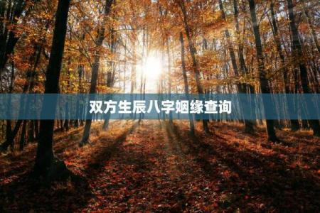 姻缘测试生辰八字