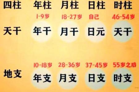 用生辰八字查童子命具体步骤  快来学一下吧