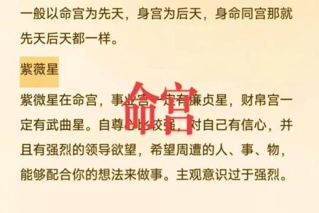 算命的星有哪些