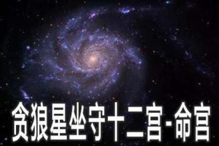 紫微斗数－贪狼星