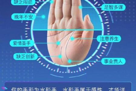 指纹算命图谱