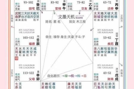 紫薇斗数测算人生