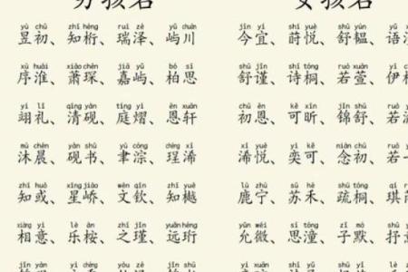 2019年4月12号卯时出生的男孩要怎么起名字姓名