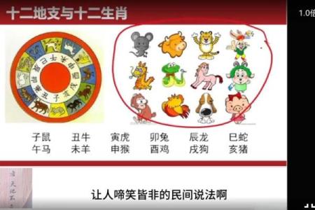 如何判断八字中的喜用神和忌神