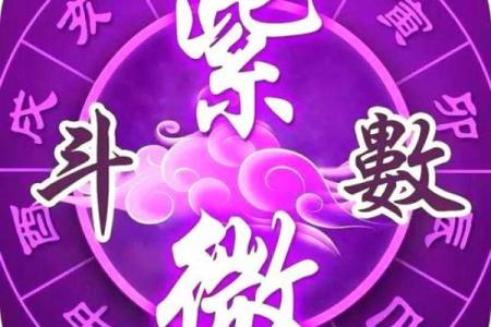 紫薇斗数丙级星