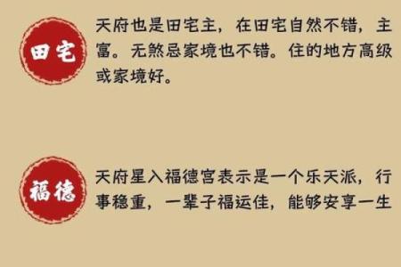 中国紫薇斗数泰斗